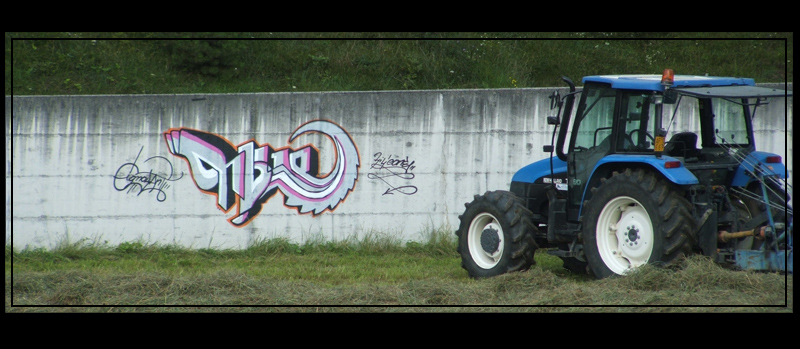 RENT  BERGAMO